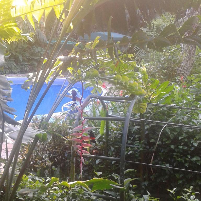 Jungle Villa Manuel Antonio Exteriör bild