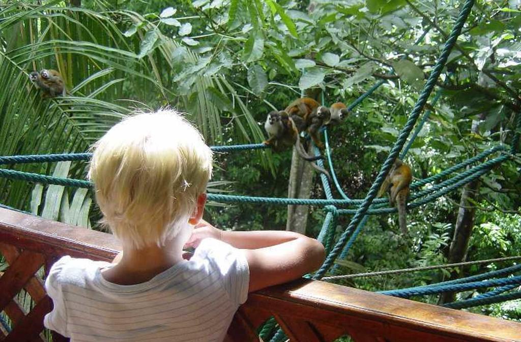 Jungle Villa Manuel Antonio Exteriör bild