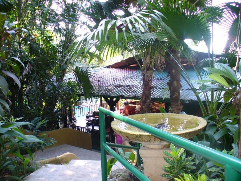 Jungle Villa Manuel Antonio Exteriör bild