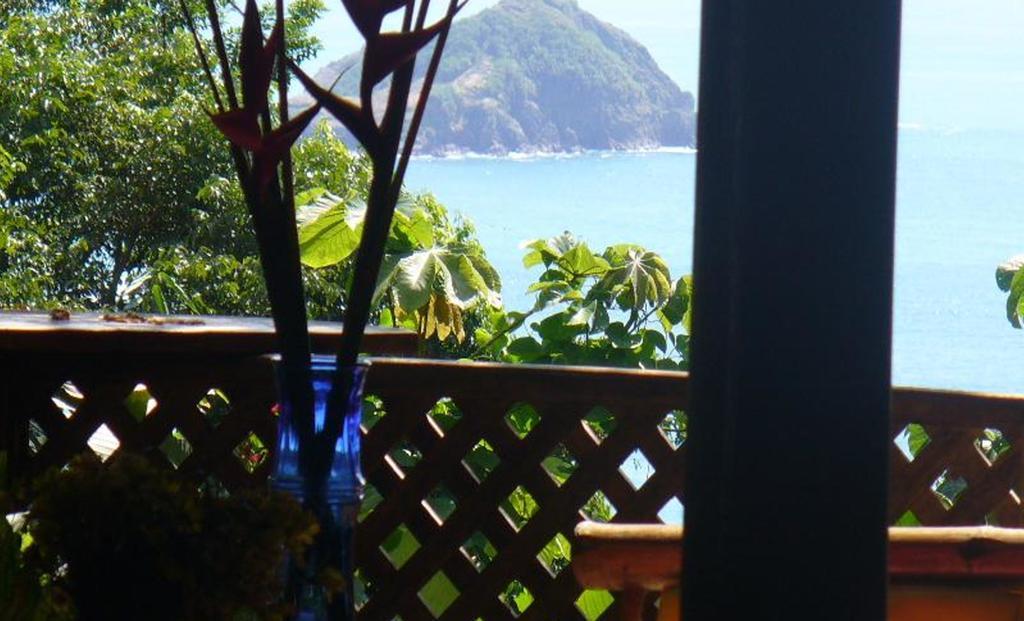 Jungle Villa Manuel Antonio Exteriör bild