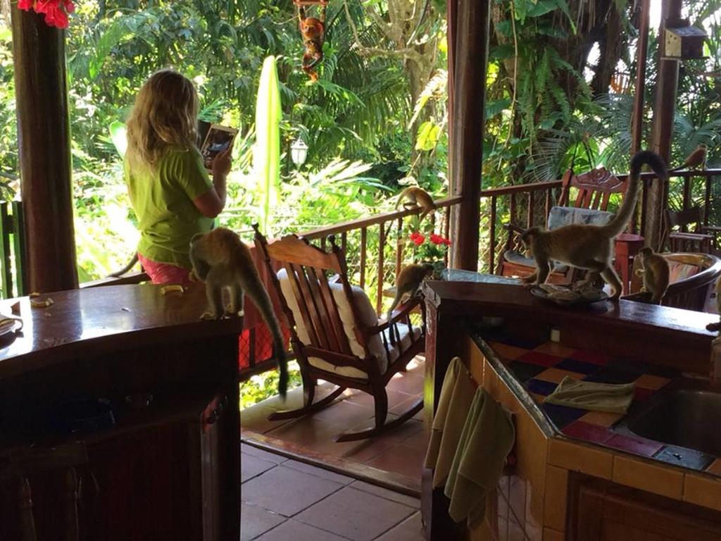 Jungle Villa Manuel Antonio Exteriör bild