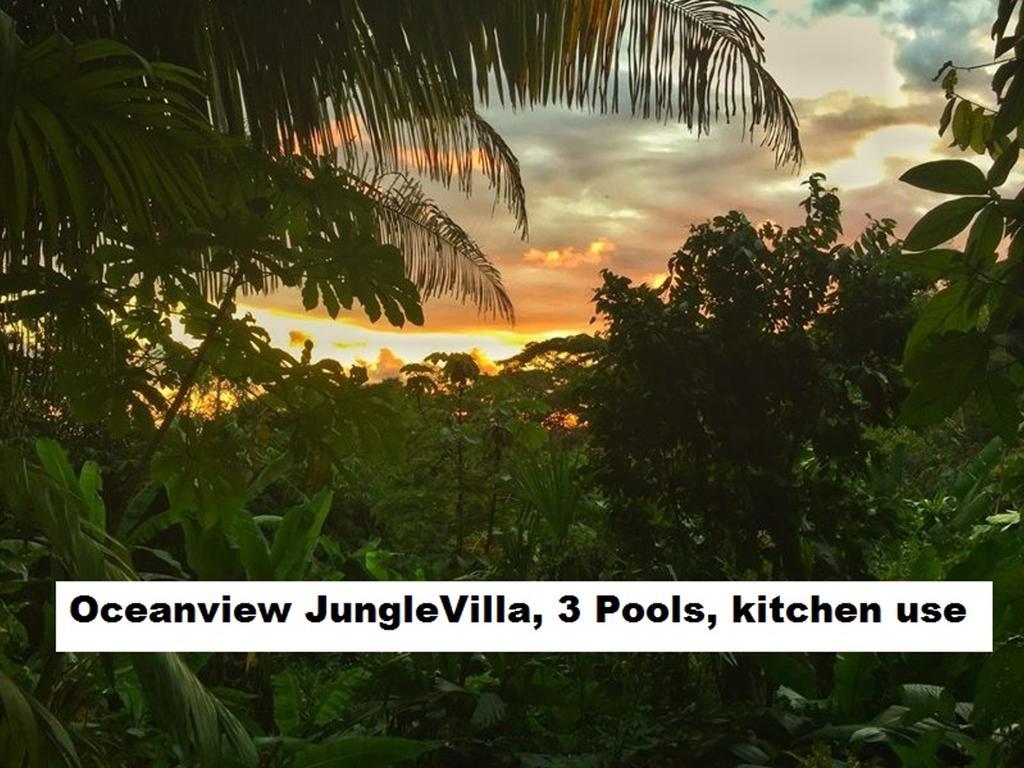 Jungle Villa Manuel Antonio Exteriör bild