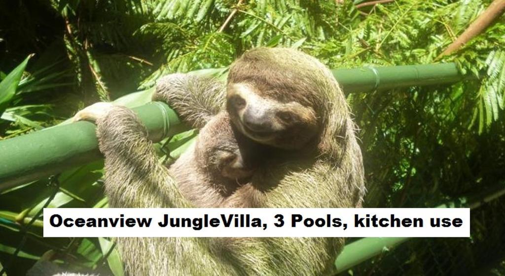 Jungle Villa Manuel Antonio Exteriör bild